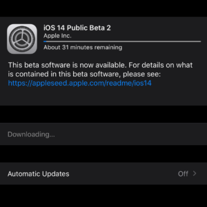 iOS Public Beta Downloading